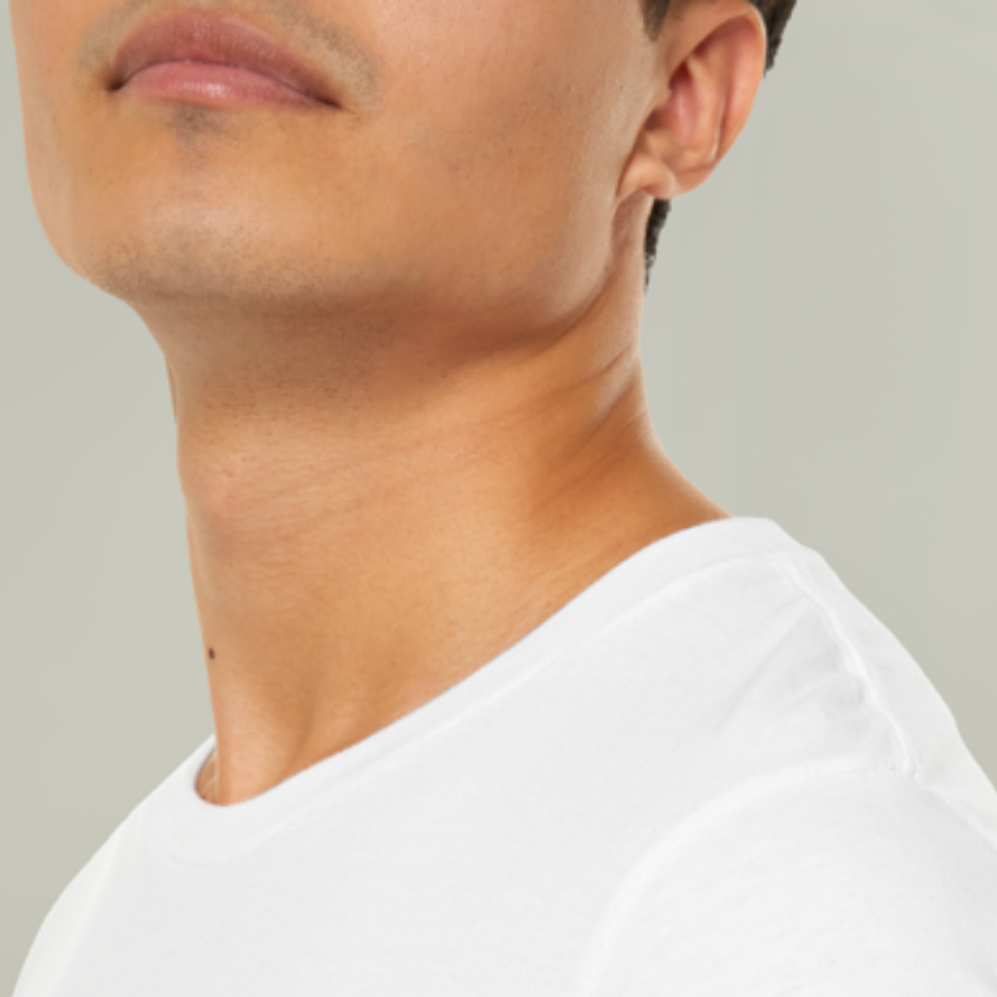 Custom Dog Zip T-Shirt – Personalized Golden Retriever Holiday Tee with Name