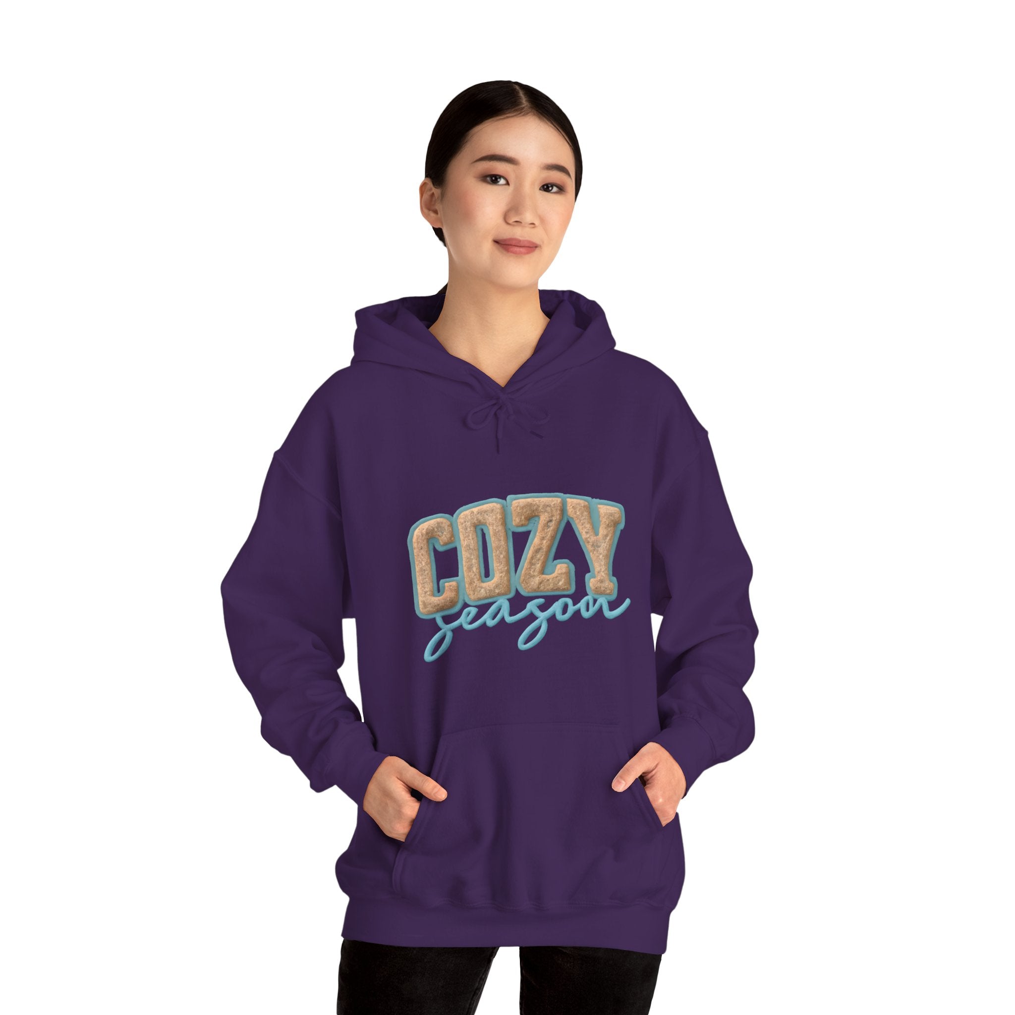 Cozy Season Hoodie – Retro Plaid "Cozy Season" Pullover Hooded Sweatshirt – Perfect for Fall & Winter